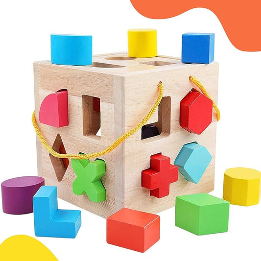 QZMTOY Shape Sorter Toys with 19 Shape Blocks, Classic Wooden Toys for Toddlers Kids, Gift for Girls Boys 2-4 (Natural Solid Wood)
