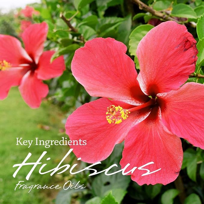 I & Candle, Aromatherapy Wax Melts. 100% Soy Wax (Non-GMO) - Hibiscus & Citrus (2 Pack)