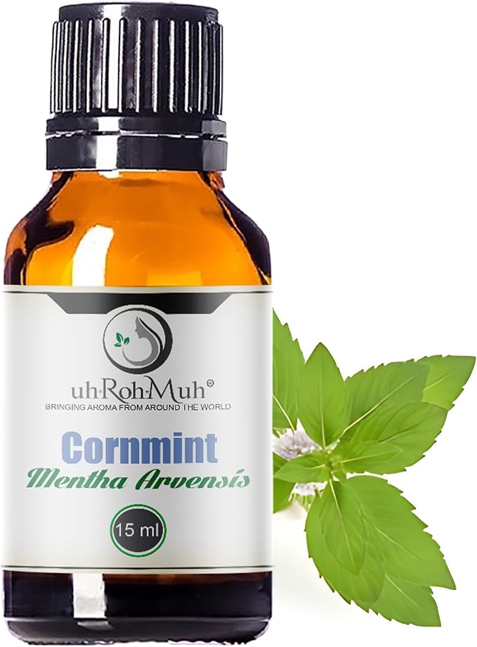 Cornmint Essential Oil - 100% Pure & Natural Essential Oil for Aromatherapy, Home Essential Diffuser Oil, Refreshing Minty Aroma for Aromatherapy and Skincare - Sourced from India 15ml