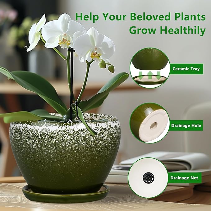 Ceramicfor 8 Inch Plant Pot - Ceramic Planter with Drainage Hole and Saucer, Modern Flower Pot for Glazed Indoor Plants Outdoor, Dark Green
