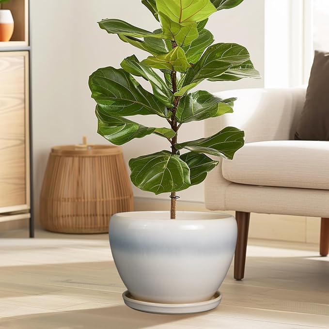 Ceramicfor 10 Inch Ceramic Planter Pot - Large Plant Pot with Drainage Hole and Saucer Round Flower Pot for Indoor Plants, White