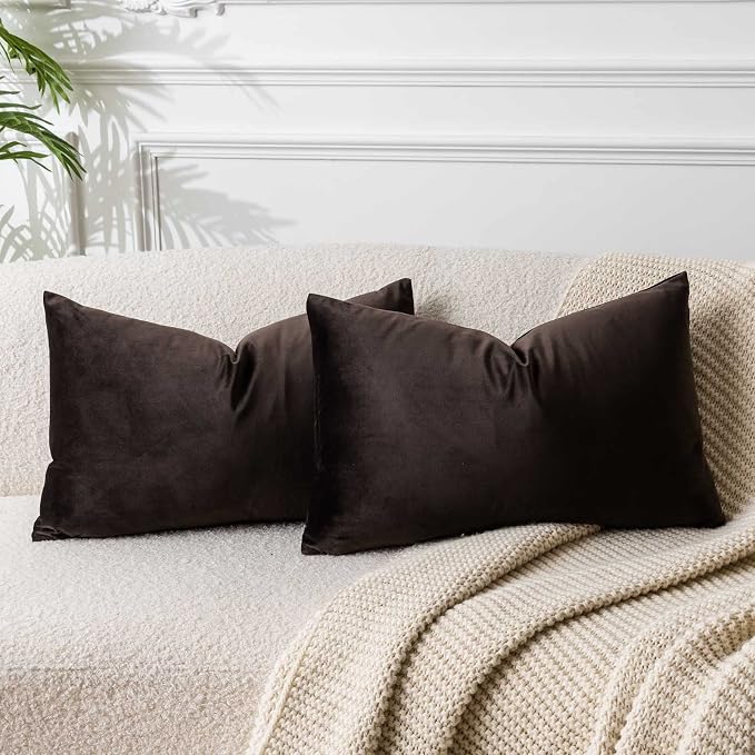 16x24 Pillow Covers Set of 2 Decorative Velvet Throw Pillow Covers,Coffee | Luxury Soft Cushion Covers with Invisible Zipper for Couch Sofa Bed Living Room Bedroom Home Decor