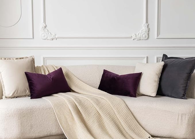 14x24 Velvet Throw Pillow Cover Set of 2 for Couch Bed Sofa,Eggplant Purple | Decorative Soft Pillow Covers with Invisible Zipper for Couch Sofa Bed Living Room Bedroom Home Decor