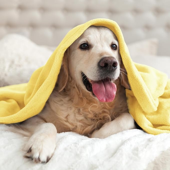 BEDELITE Fleece Blanket Soft Plush Twin Size Blanket Light Yellow 60"x80" | Ultra Soft Fleece, Plush Microfiber, Lightweight Warmth, All Season Comfort, Fade Resistant, Machine Washable, Couch Sofa Bed