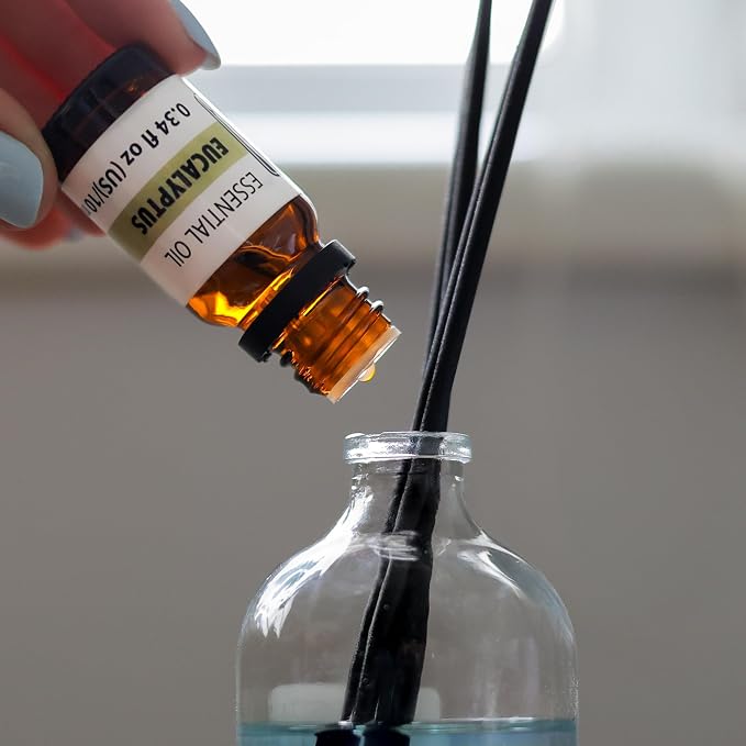 Eucalyptus Essential Oil – Fresh Camphoraceous Aroma Oil for Diffusers, Aromatherapy & Home Fragrance – Crisp Eucalyptus Scent – 0.34 fl oz (10 ml)