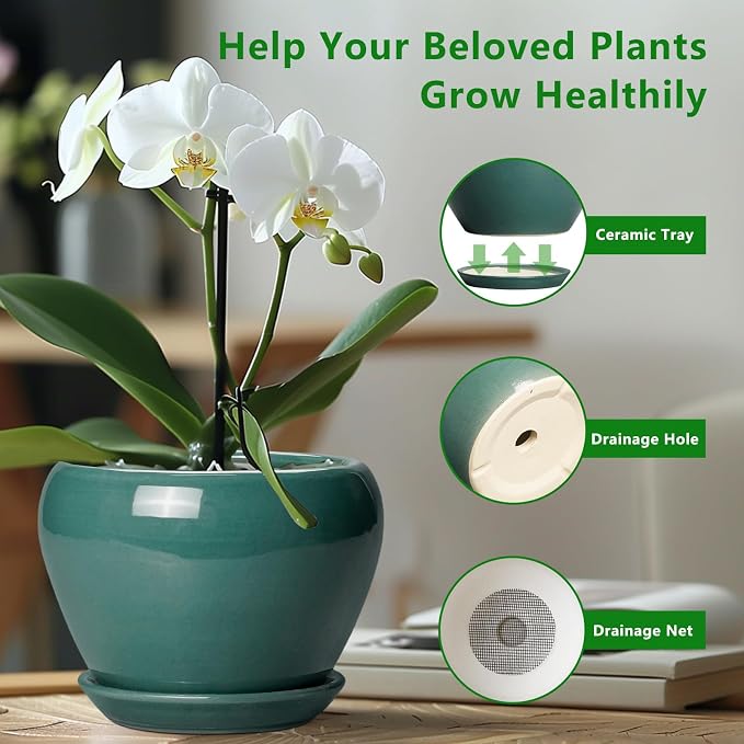 Ceramicfor 8 Inch Plant Pot - Ceramic Planter for Indoor Outdoor Plants, Glaze Modern Round Ceramic Flower Pot with Drainage Hole and Saucer, Gifts for Plant Lover, Home Office Patio Decor, Green