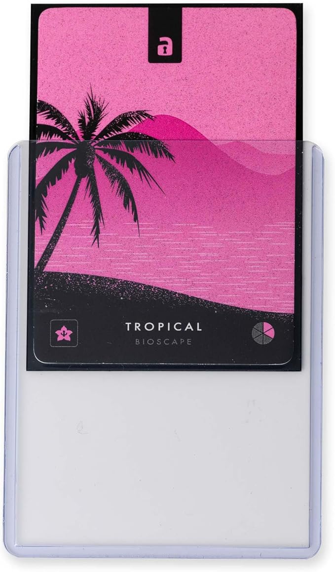 Vault X Toploaders 35pt (25 Pack), 3" x 4" Seamless Clear Rigid Card Holders for Trading Cards TCG