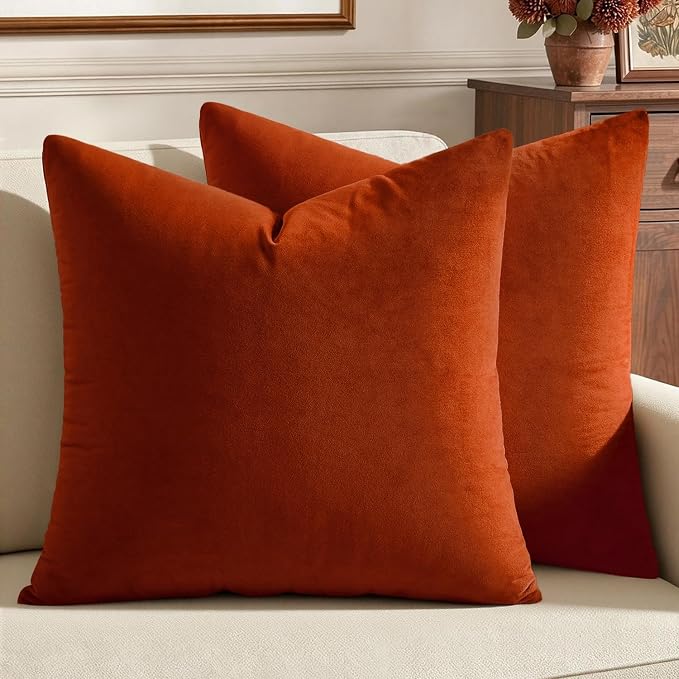 MIULEE 26x26 Inch Pack of 2 Euro Fall Velvet Pillow Covers Burnt Orange | Soft Solid Decorative Euro Sham, Modern Luxury Home Decor, for King Bed Sofa Couch Bedroom Livingroom
