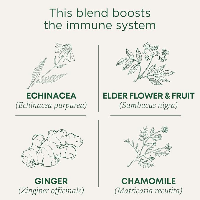 Traditional Medicinals Tea, Organic Echinacea Plus Elderberry, Boosts the Immune System, 16 Tea Bags (Pack of 2)