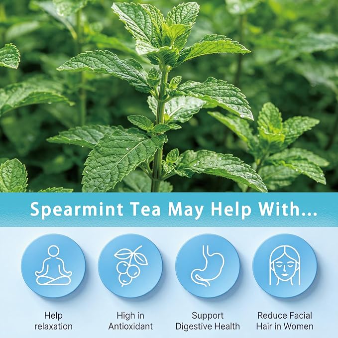 Samcci - Spearmint Tea Bags, 40 Teabags, 1.5g/bag - Pure Spearmint Leaves - Non-GMO - Caffeine-free Herbal Tea - Hormone Balance & Support Digestion & Natural Breath Freshener
