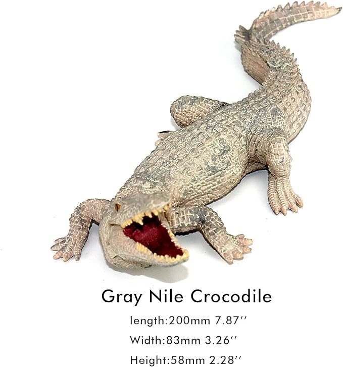 FUNSHOWCASE African Jungle Animals Gray Nile Crocodile Toy Figure Realistic Plastic Figurine Height 2.4-inch