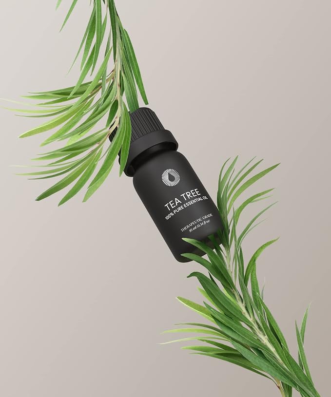 Bursera Tea Tree Essential Oil, Tree Planted with Every Order, 100% Pure Australian Tea Tree Oil, 10ml Undiluted High Grade Natural Tea Tree Oils for Diffuser, Shower, Skin and Aromatherapy