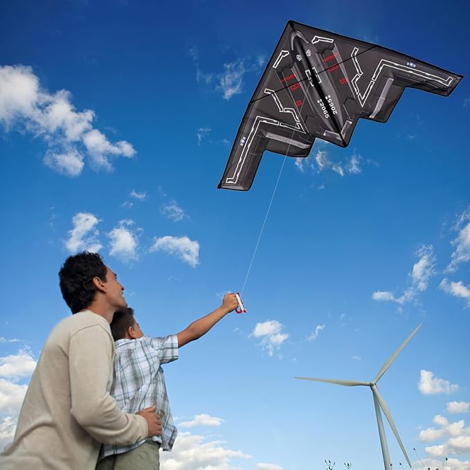 Hengda Kite Airplane Kite,for Kids and Adults,Plane Kite Easy to Fly,Excellent Fabric and Structure Design,The Pictures are Beautiful in high Definition,Suitable for Beginners Black