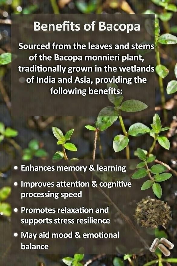 Peace Bloom Calming Powder Mix with Kava, Bacopa & GABA- Relaxation Drink, Stress Relief, Alcohol-Free