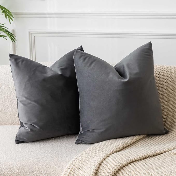 20x20 Decorative Velvet Throw Pillow Covers Set of 2 for Couch,Dark Gray | Soft Cushion Cases with Invisible Zipper for Modern Sofa Bed Living Room Bedroom Home Decor