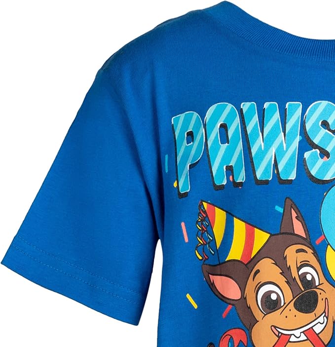 Paw Patrol Birthday T-Shirt Toddler to Little Kid Sizes (2T - 7-8)