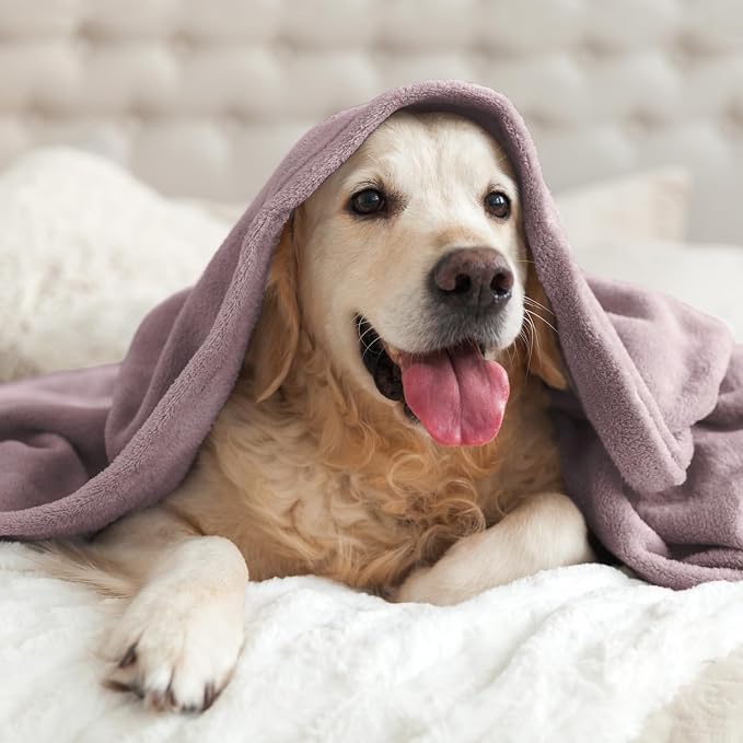 BEDELITE Fleece Blanket Soft Plush Throw for Couch Dusky Violet 50"x60" | Ultra Soft Fleece, Plush Microfiber, Lightweight Warmth, All Season Comfort, Fade Resistant, Machine Washable, Couch Sofa Bed