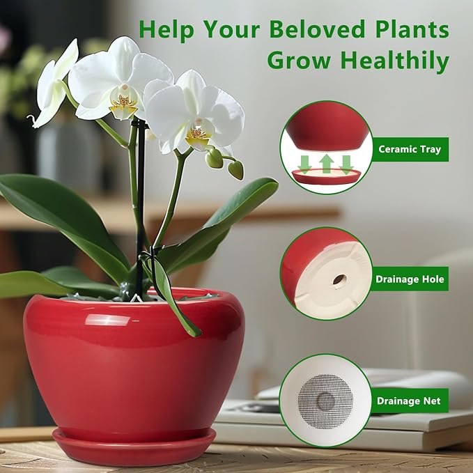 Ceramicfor Ceramic Planter for Indoor Plants 8 Inch - Ceramic Plant Pot with Drainage Hole and Saucer, Glaze Round Decorative Modern Flower Pot, Housewarming Gift, Home Room Office Decor, Red