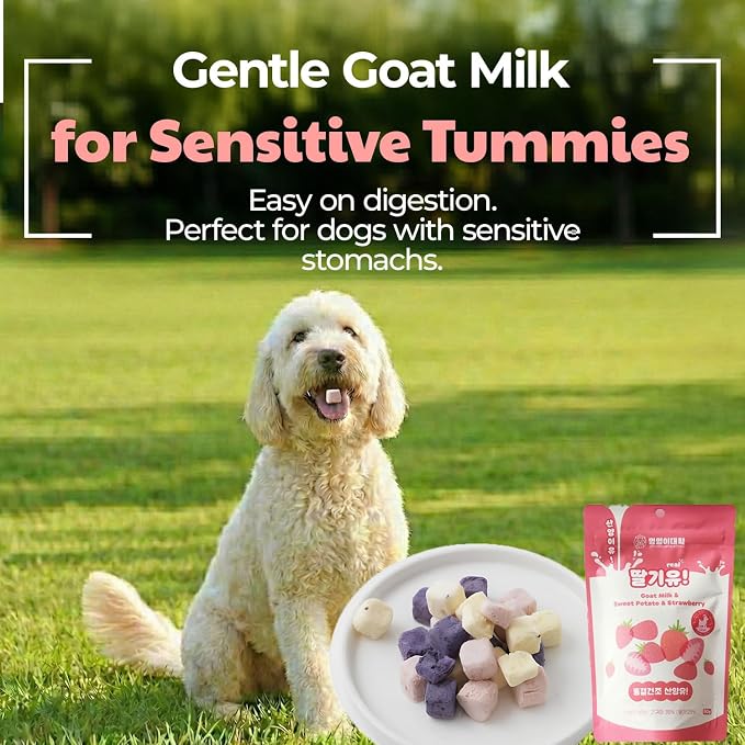 Freeze-Dried Goat Milk Dog Treats with Sweet Potato & Strawberry, Limited Ingredient Freeze Dried Sweet Potato Snack & Food Topper for Dogs and Cats – Natural, Easy to Digest, 1.76 oz