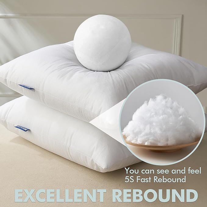 MIULEE Pillow Insert 20x20 Inch Set of 4, Decorative Throw Pillow Inserts | Premium Fluffy Pillow Forms Sham Stuffer for Sofa Couch Living Room