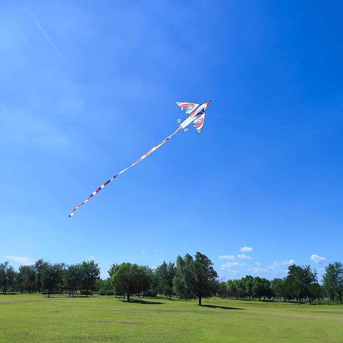 Delta Kite for Kids & Adults - Easy to Fly Large Single Line Beach Kite with 300ft String Handle Included, Perfect for Beginners, Teens