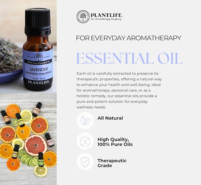 Plantlife Patchouli Aromatherapy Essential Oil - Straight from The Plant 100% Pure Therapeutic Grade - No Additives or Fillers - 30 ml