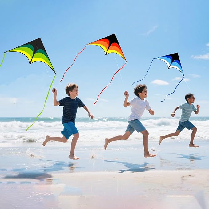 Mint's Colorful Life Delta Kite for Kids & Adults, Extremely Easy to Fly Kite for Beach Trip, Best Kites for Beginners, 300ft String Handle Included