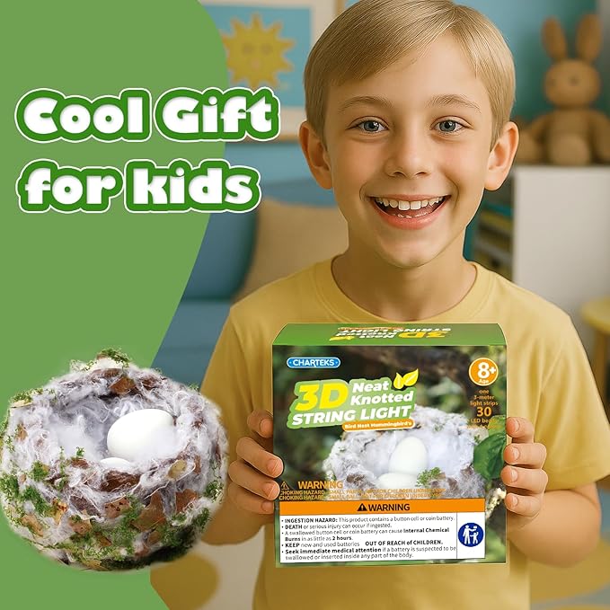 CHARTEKS Bird Nest Craft Kit with LED String Lights - DIY Nature Arts and Crafts STEM Project for Kids & Adults, Creative Home Decor Gift for Boys Girls Ages 8-12