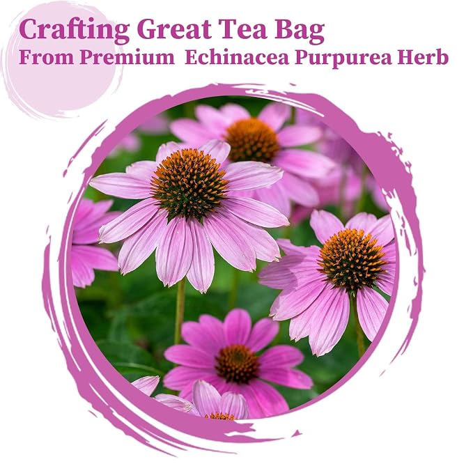 FullChea - Echinacea Tea Bags, 50 Count, 2g/bag - Premium Echinacea Purpurea Herb - Non-GMO - Caffeine-free - Aid Digestion & Boost Immunity
