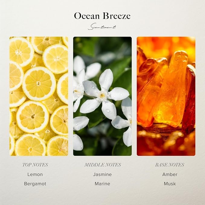 Scentiment Ocean Breeze Diffuser Oil - Premium Hotel Scent with Notes of Bergamot, Lemon, Jasmine with Marine & Amber Home Scent, Hotel Fragrance Oil Diffuser Refill - 1.69 fl oz (50 mL)
