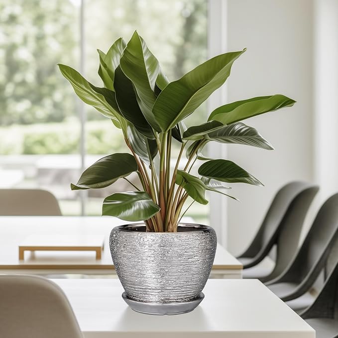 Ceramicfor Ceramic Planter - 6 Inch Plant Pot Indoor with Drainage Hole and Saucer Outdoor Pot for Plants Round Decorative Planter Modern Mid-Century Flower Pot for Office Decor Silver