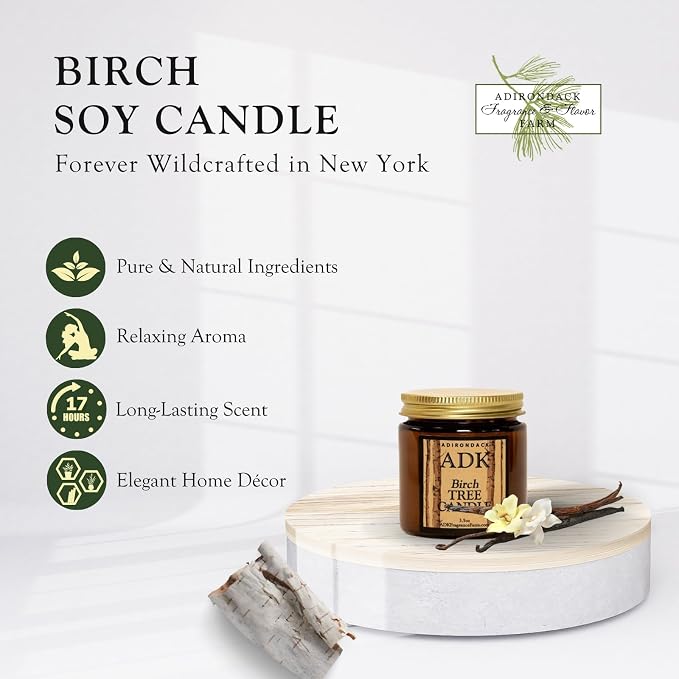 ADK Birch Scented Candle, 3.5 Oz Aromatherapy Candle, Proudly Poured in The USA, Natural Wax for Relaxation and Home Décor, for Gift, Kitchen, and Living Spaces