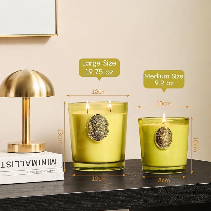 M&SENSE Large Two-Wick Soy Candle | White Tea Sage & Matcha Green | 19.8 oz, 120H Burn Time | Luxury Scented Candle for Relaxation, Gifting, Home Décor | Ideal for Bedroom, Office, Party Ambiance