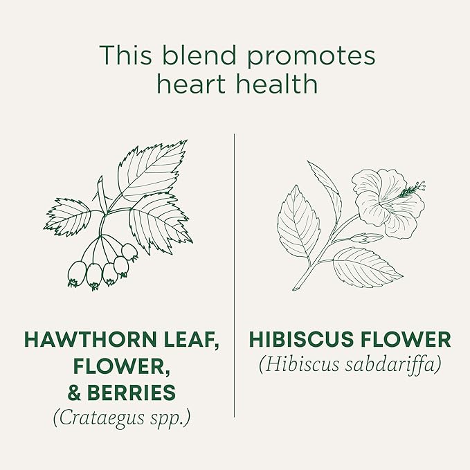 Traditional Medicinals Tea, Organic Hawthorn & Hibiscus - Promotes Heart Health - Kosher, Non-GMO, Caffeine-Free - 16 Tea Bags