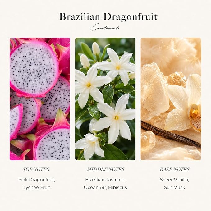 Scentiment Diffuser Oil – Brazilian Dragon Fruit | Dragon Fruit, Citrus & Soft Musk | Sweet, Fruity & Tropical Fragrance Oil for Cold Air Diffusers - 16.91 fl oz (500 mL)