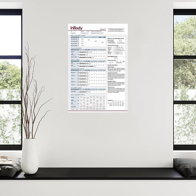 InBody1 Poster Body Composition Analysis Guide, Muscle Mass, Body Fat, BMI, Visceral Fat Level, Basal Metabolic Rate Canvas for Living Room Bedroom Decor 12x18inch(30x45cm) Unframe-style