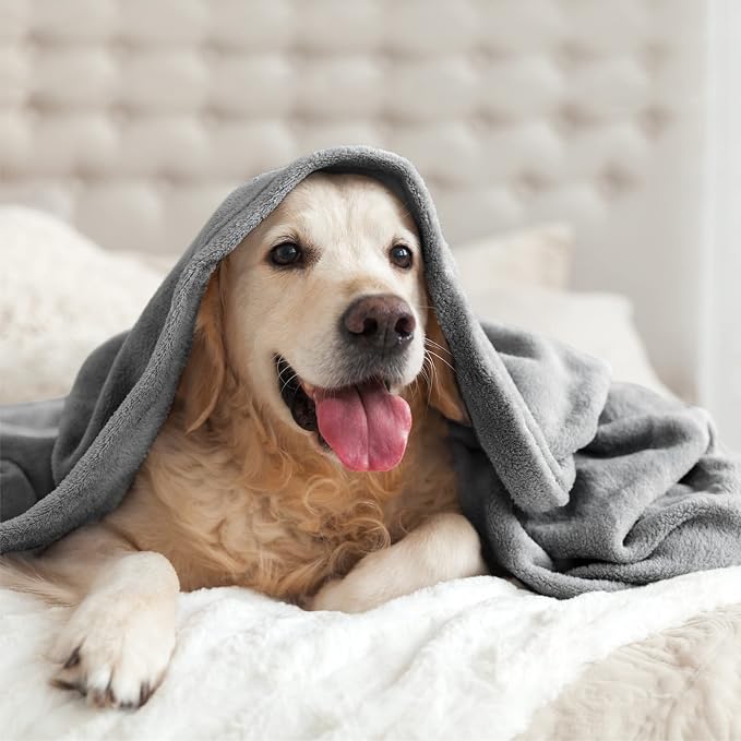 BEDELITE Fleece Blanket Soft Plush Queen Size Bed Blanket Grey 90"x90" | Ultra Soft Fleece, Plush Microfiber, Lightweight Warmth, All Season Comfort, Fade Resistant, Machine Washable,Perfect for Bed
