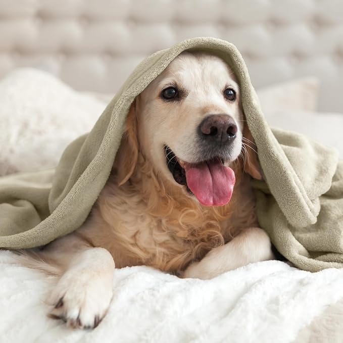 BEDELITE Fleece Blanket Soft Plush Twin Size Blanket Linen Brown 60"x80" | Ultra Soft Fleece, Plush Microfiber, Lightweight Warmth, All Season Comfort, Fade Resistant, Machine Washable, Couch Sofa Bed