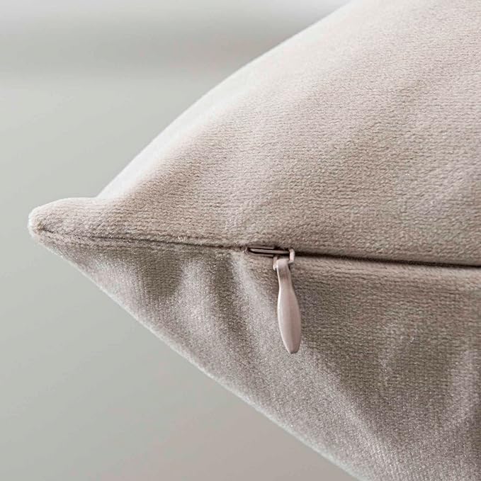 16x24 Pillow Covers Set of 2 Decorative Velvet Throw Pillow Covers,Cloud | Luxury Soft Cushion Covers with Invisible Zipper for Couch Sofa Bed Living Room Bedroom Home Decor