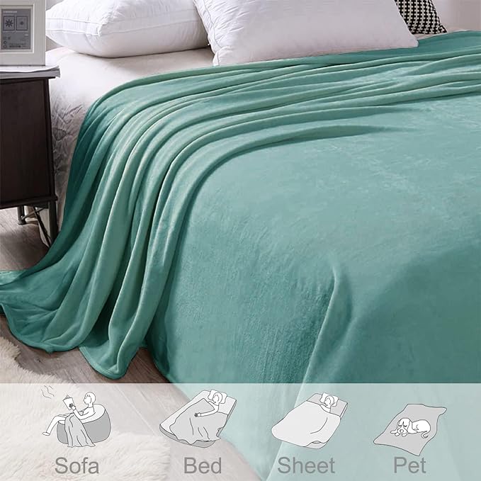 Exclusivo Mezcla Soft Fleece Blanket Queen Size for Bed, Celadon | 90x90 Inches, Double-Sided Brushed Flannel, Lightweight Plush Cozy Blanket for Home Decor, All Season, Machine Washable