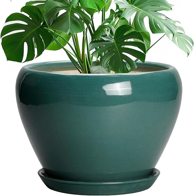 Ceramicfor Ceramic Planter for Indoor Plants 10 Inch - Ceramic Plant Pot with Drainage Hole and Saucer, Glaze Round Modern Decorative Planter, Plant Lover Gifts, Home Room Office Decor, Green