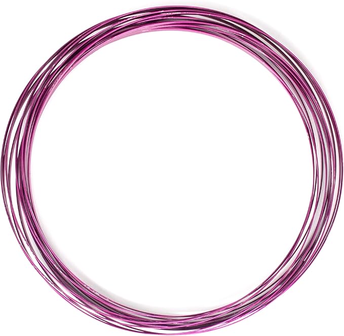 Digital Energy Kinetic Educational Spring Toy - Multi Sensory Interactive 3D Shaped Flow Ring ()