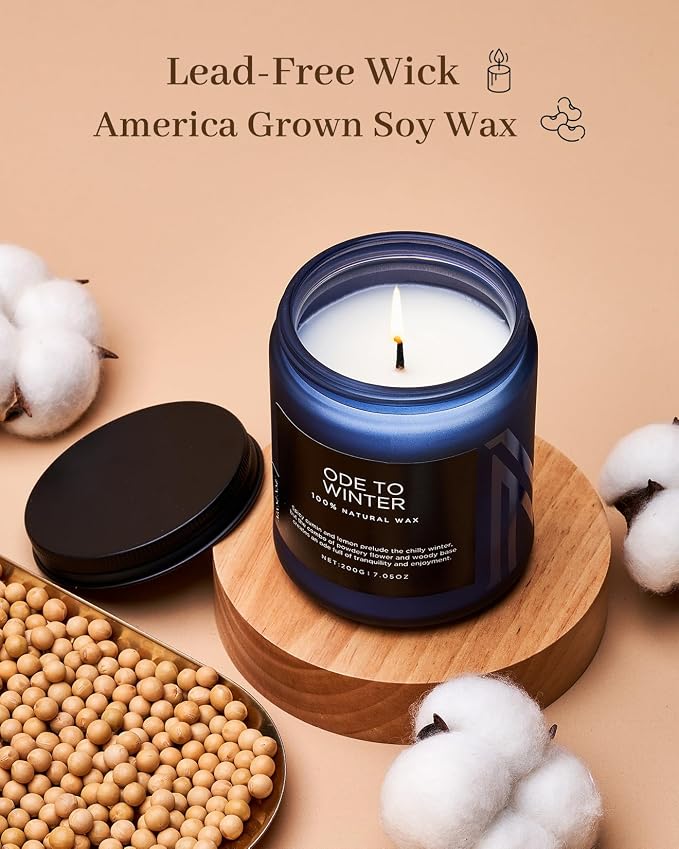 M&SENSE Ode to Winter Scented Candle for Home Natural Soy Wax Non Toxic Cotton Wick Winter Scent, 7.05oz Up to 50 Hours Burn Time Gifts for Christmas Holiday