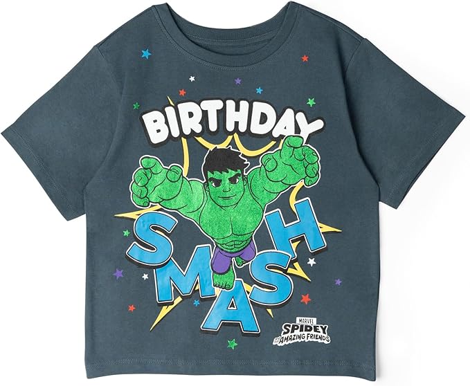 Marvel Spidey and His Amazing Friends Birthday T-Shirt Toddler to Big Kid Sizes (2T - 10-12)