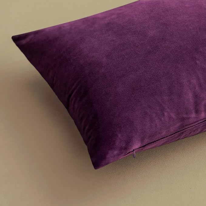 MIULEE 24x24 Inch Pack of 2 Euro Velvet Throw Pillow Covers Eggplant Purple | Soft Solid Decorative Euro Sham, Modern Luxury Home Decor, for King Bed Sofa Couch Bedroom Livingroom