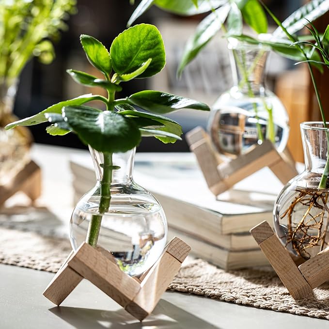 Propagation Stations, Propagation vases with Wooden Stand, Small Tabletop Glass Bulb Vases for Hydroponics Plant Propagation Station Home Office Decoration, Gift for Women Plant Lovers (9)