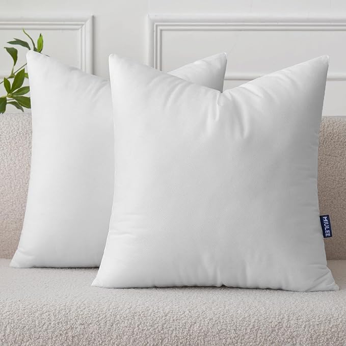 MIULEE Pillow Insert 18x18 Inch Set of 2, Decorative Throw Pillow Inserts | Premium Fluffy Pillow Forms Sham Stuffer for Sofa Couch Living Room