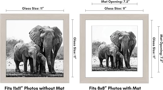 Americanflat 11x11 Picture Frame with Shatter-Resistant Glass - Use as 8x8 Frame with Mat or Display 11x11 Photo Without Mat - Signature Collection - Square Frames for Wall Display - Light Wood | Shatter-resistant glass, sawtooth hangers included, fits...