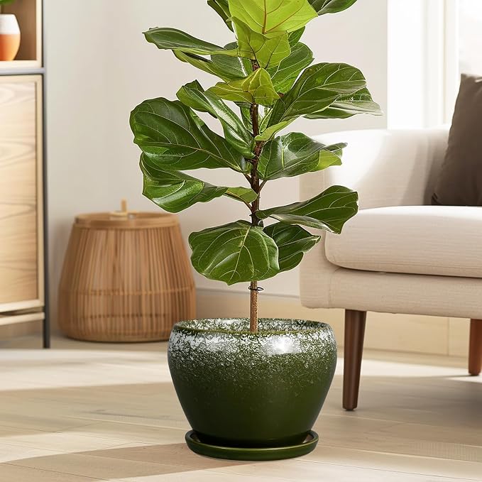 Ceramicfor 8 Inch Plant Pot - Ceramic Planter with Drainage Hole and Saucer, Modern Flower Pot for Glazed Indoor Plants Outdoor, Dark Green