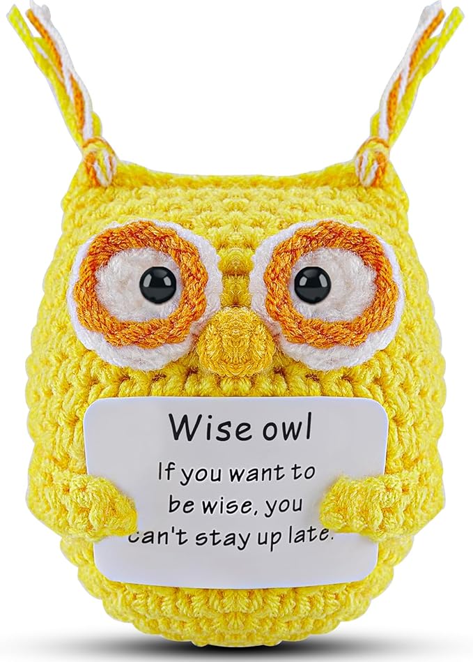 Hoedia Handmade Emotional Pickle Gift, Emotional Cucumber Crochet Doll Inspirational Gifts with Cards, Cute Knitted Funny Support Pickle Friend Birthday (Wise Owl)